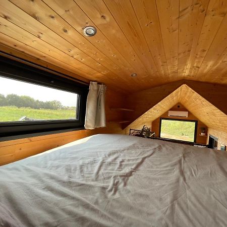 Myinsolite - Tiny-House, Jacuzzi, Brasero, Piscine Aigues-Mortes Zewnętrze zdjęcie