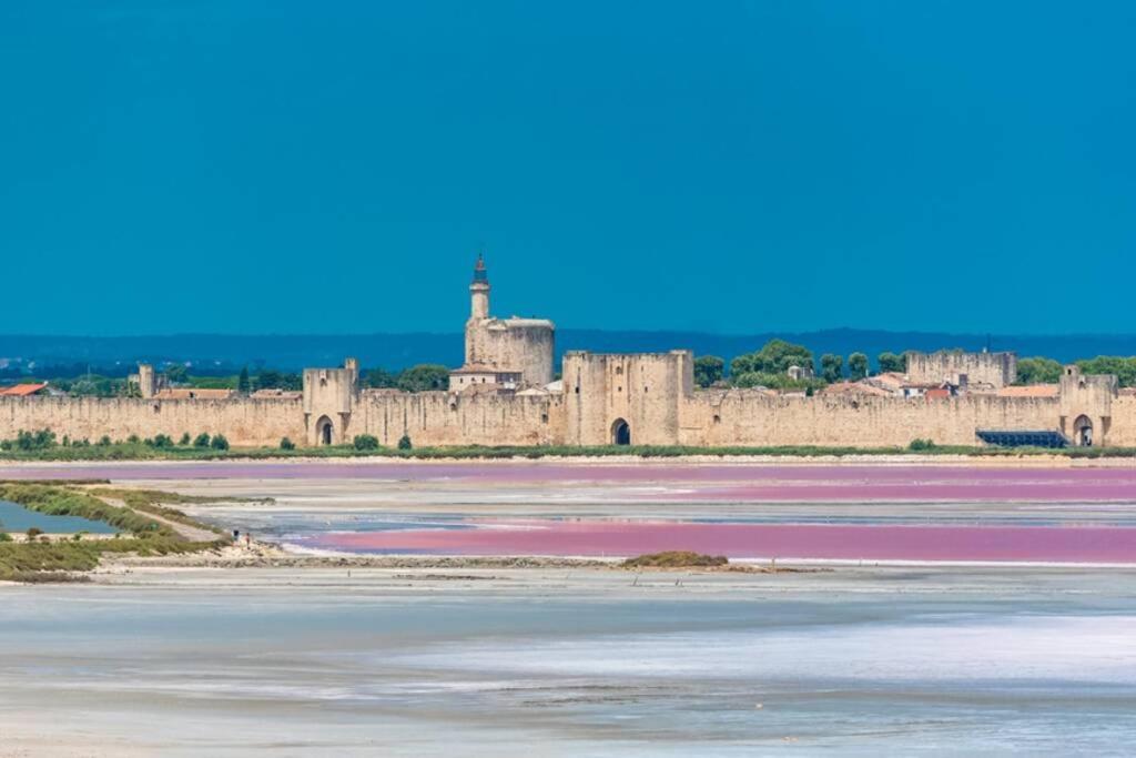 Myinsolite - Tiny-House, Jacuzzi, Brasero, Piscine Aigues-Mortes Zewnętrze zdjęcie