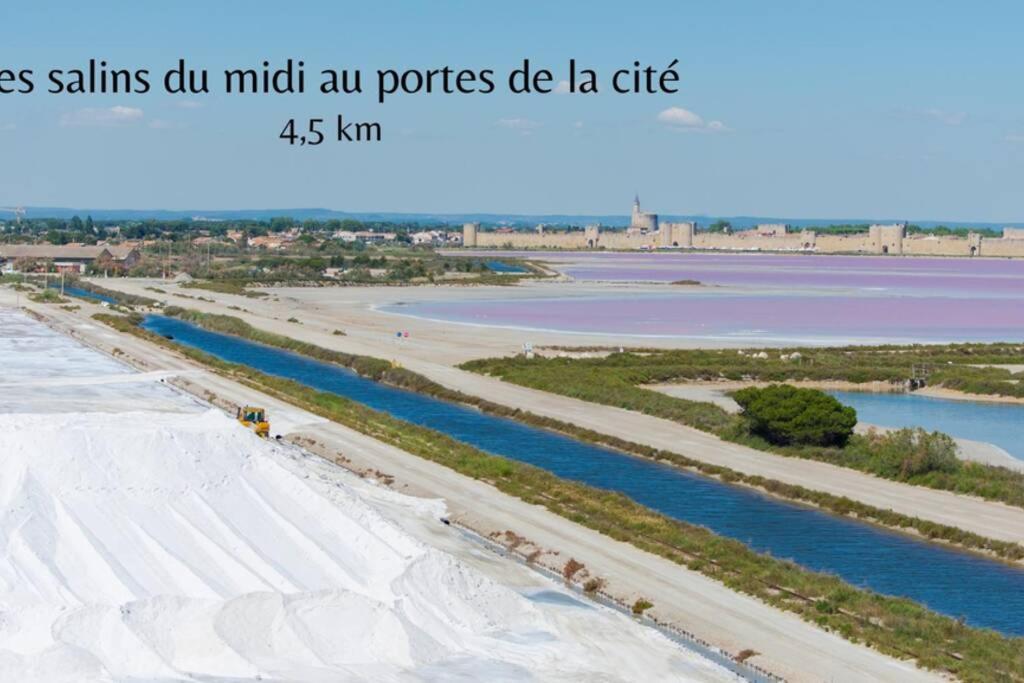 Myinsolite - Tiny-House, Jacuzzi, Brasero, Piscine Aigues-Mortes Zewnętrze zdjęcie