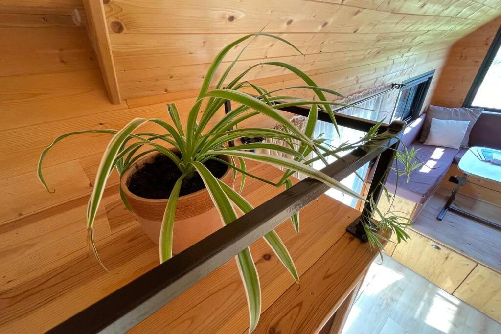 Myinsolite - Tiny-House, Jacuzzi, Brasero, Piscine Aigues-Mortes Zewnętrze zdjęcie