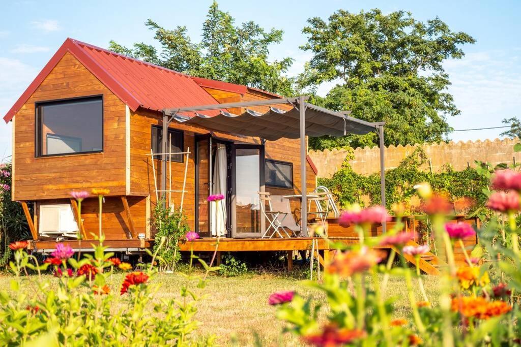 Myinsolite - Tiny-House, Jacuzzi, Brasero, Piscine Aigues-Mortes Zewnętrze zdjęcie